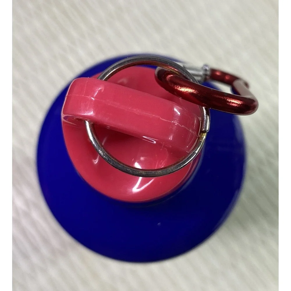 Walt Disney Mickey Mouse,Minnie,Goofy,Winnie,Eeyore Aluminum‎ Water Bottle 24oz.